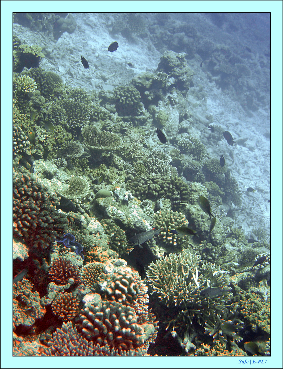 2023 - 07 - Sandies Bathala - 231